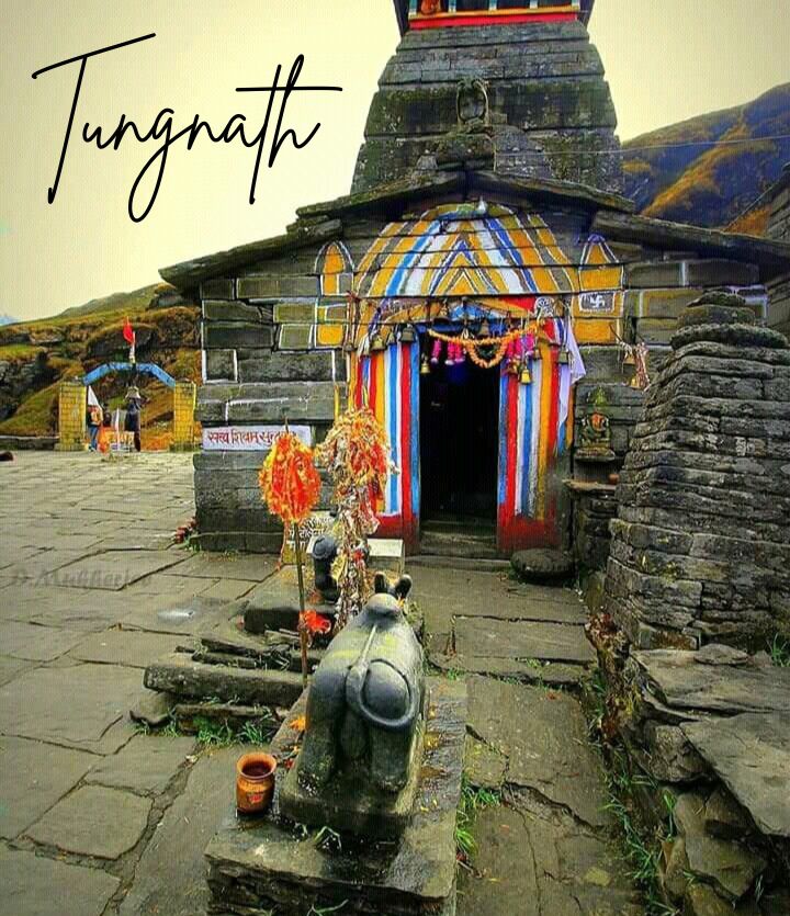 Chopta Tungnath Trek – Best Guide & Packages from Delhi